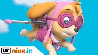 Paw Patrol | Meet: Skye! | Nick Jr. UK