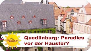 DEUTSCHLAND ENTDECKEN: so schön ist Urlaub in Quedlinburg! | SAT.1 Frühstücksfernsehen