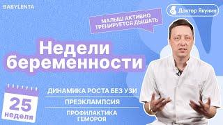 25 неделя беременности как выглядит ребенок, что происходит, УЗИ, шевеления, преэклампсия, геморрой