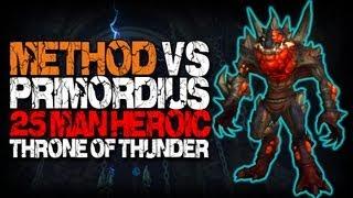 Method vs Primordius (25 Heroic) World First