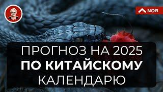 Премьера! ПРОГНОЗ на 2025 Год по Китайскому Календарю. Китайский Новый Год - 29 Января 2025