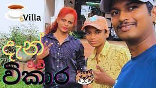 විකාර වැඩී දැන් මෙයාගෙ / Sri Lanka Tea / Nilmini Sheron / DNY Family Vlogs #nilminisheron #DNY