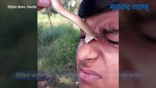 Games with snakes on 'TikTok'; The video went viral