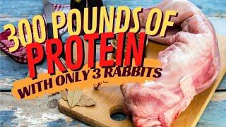 300+ Pounds of Protein?? | Meat Rabbit Math
