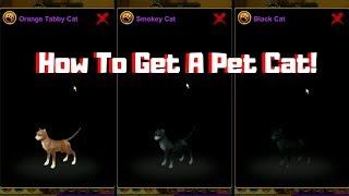 AQ3D How To BEAT Feline Finery Quest! (Pet Cat) AdventureQuest 3D