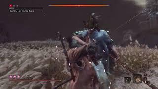 Sekiro™ Shadows Die Twice Isshin Sword Saint Cheese NO PROSTHETICS NO EMBLEMS - Steps in Description