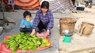 Single Mother Picking Star Fruit to Sell at The Market - The Life of a Single Mother In The Forest