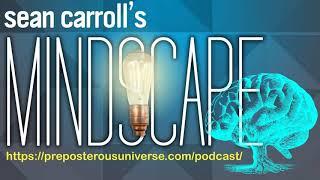 Episode 33: James Ladyman on Reality, Metaphysics, and Complexity