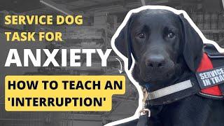 Service Dog Tasks for Anxiety: Teaching an 'Interruption'