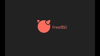 How to install FreeBSD 13.2 in VMware ESXi (with open-vm-tools)