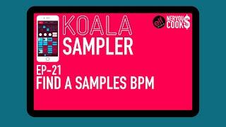 Koala Sampler Tutorial - EP 21 - Finding The BPM/Tempo Of A Sample