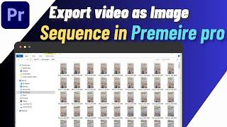 How To Export Video As Image Sequence In Premiere Pro | Easy Guide