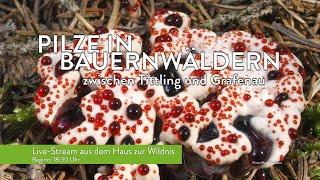 Pilze in Bauernwäldern - Wissenschaftlicher Vortrag