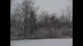 SNOW STORM!!!!1.mov