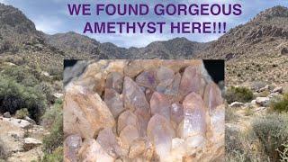 Rockhounding Amethyst, Smokey Quartz, & More in the Kingston Range- FIND AMETHYST NEAR VEGAS!!!