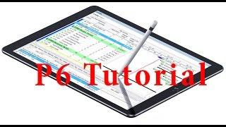 Primavera P6  Interface and components Training