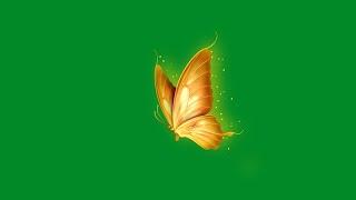 Green screen golden butterfly, flying, animation, effects