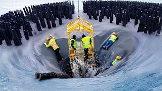 Норвежцы Поместили 4 Водолазов на Месяц на Дно Океана, Когда Их Решили Достать, Все Были Шокированы