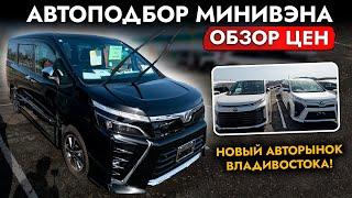 Выбираем МИНИВЭН️ "НОВЫЙ" АВТОРЫНОК️ Обзор цен на NOAH l VOXY l ESQUIRE и другие модели