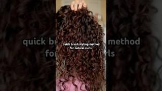 Brush  apply cream  scrunch #curlyhair #brushstyling #curlyhairstyles #curlyhairroutine