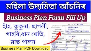 Mahila Udyamita scheme Business Plan Form Fill up _    Business plan form fill up self help group