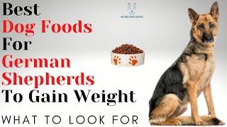 Best Dog Foods For German Shepherds To Gain Weight: What To Look For