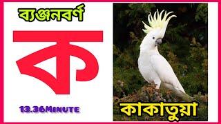 ব্যঞ্জনবর্ণ ক খ গ ঘ ঙ চ ছ জ ঝ ট ঠ|ক তে কাকাতুয়া|Bangla bornomala Banjonborno|