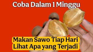 Makan Buah Sawo Setiap Hari , Apa yang Terjadi Pada Tubuh ?!!