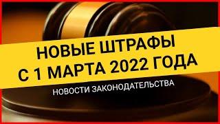 КАКИЕ новые штрафы ждут россиян с 1 марта 2022 года. Новости законодательства