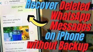 How to Recover Deleted WhatsApp Messages from iPhone Without Backup | iPhone WhatsApp Recovery