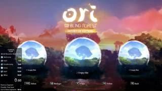 Ori DE Any% Speedrun in 17:43