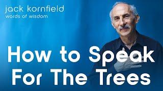 Jack Kornfield on How to Speak for the Trees