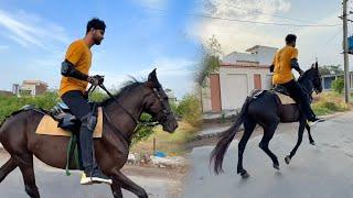 Finally Sabtain Ny  Horse Riding Seekh Li