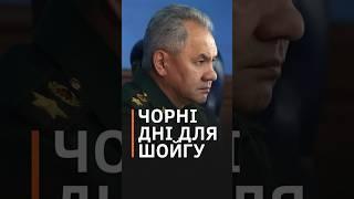 Шойгу кинуть за ґрати чи відправлять у відставку? На росії почались розбірки #shorts #шойгу #росія