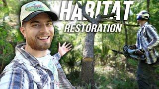 Restoring A Bottomland Forest!! Native Plant Gardening & Rewilding! Houston, Texas