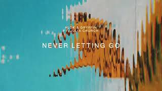 Alok, Gryffin & Julia Church – Never Letting Go (Official Visualizer)