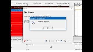 How To Import XER File With Invalid Error ?