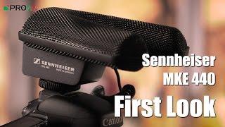 Sennheiser MKE 440 - First Look