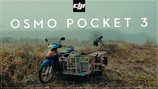 Shot on DJI OSMO Pocket 3 - Cinematic Nature Film 4K [ Thailand ]