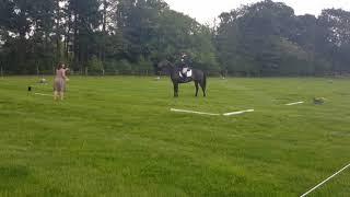 Richmond Dressage