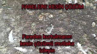 FAREYE KESİN ÇÖZÜM