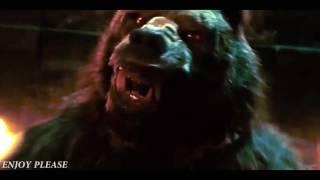 WereWolf or WereBear ? Fight Scene HD