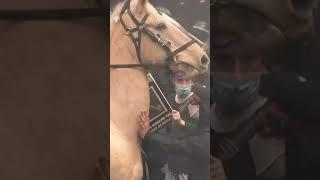 Confrontation between Melbourne anti-war protesters and police