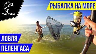 Ловля ПЕЛЕНГАСА на Азовском море летом! 24 часа на диком пляже