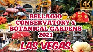 Bellagio Conservatory & Botanical Gardens Fall Theme In 4K HD