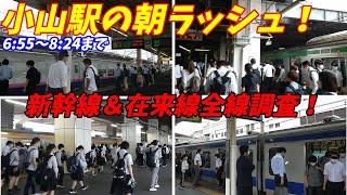 【新幹線通勤で有名！】小山駅の朝ラッシュ！宇都宮線、水戸線、両毛線【栃木県小山市】発車メロディー