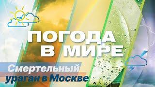 «Погода в мире» от 23 июня 2024 года