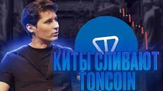 КИТЫ МАССОВО СЛИВАЮТ TONCOIN - ПАДЕНИЕ TON 6$ ЭТО РЕАЛЬНО?