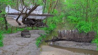 Днепр Ушла вода и поднялась Запорожье Плавни до Каховской ГЭС