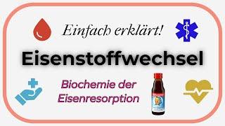 Eisenstoffwechsel (Einfach erklärt!) | Biochemie der Eisenresorption